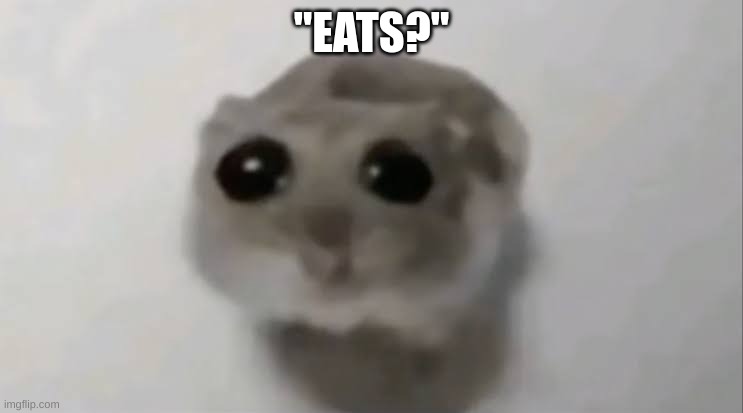 Sad Hamster | "EATS?" | image tagged in sad hamster | made w/ Imgflip meme maker