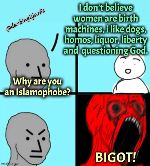 Far Right White Supremacist Meme | I don't believe women are birth machines, i like dogs, homos, liquor, liberty and  questioning God. @darking2jarlie; Why are you an Islamophobe? BIGOT! | image tagged in angry npc wojack rage,liberals,liberal logic,islam,muslim,islamophobia | made w/ Imgflip meme maker