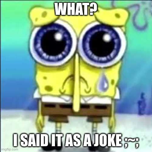 Sad Spongebob | WHAT? I SAID IT AS A JOKE ;~; | image tagged in sad spongebob | made w/ Imgflip meme maker