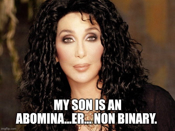 cher | MY SON IS AN ABOMINA...ER... NON BINARY. | image tagged in cher | made w/ Imgflip meme maker