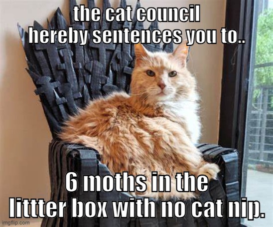 the cat judges your actions. | the cat council hereby sentences you to.. 6 moths in the littter box with no cat nip. | image tagged in cat on throne,cats | made w/ Imgflip meme maker