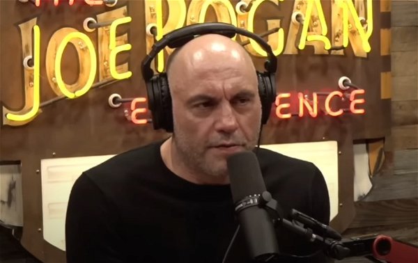 High Quality Confused Rogan Blank Meme Template