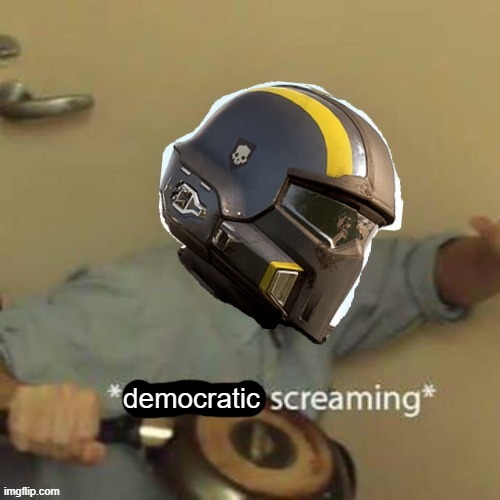 democratic screaming | image tagged in democratic screaming | made w/ Imgflip meme maker