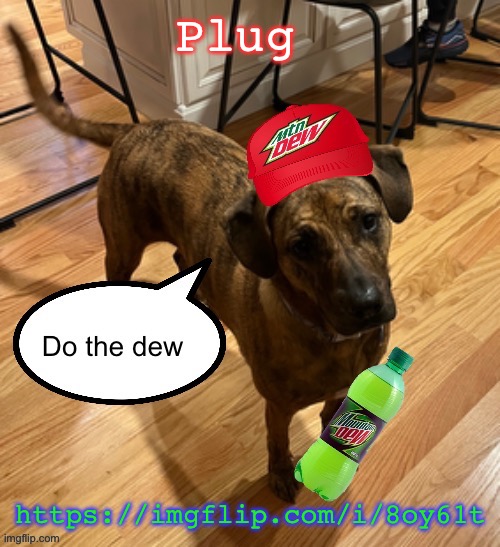 Do the dew | Plug; https://imgflip.com/i/8oy61t | image tagged in do the dew | made w/ Imgflip meme maker