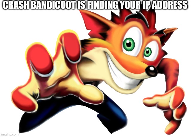 CRASH BANDICOOT IS FINDING YOUR IP ADDRESS | made w/ Imgflip meme maker