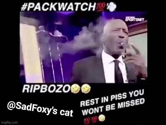 packwatch | @SadFoxy's cat | image tagged in packwatch | made w/ Imgflip meme maker