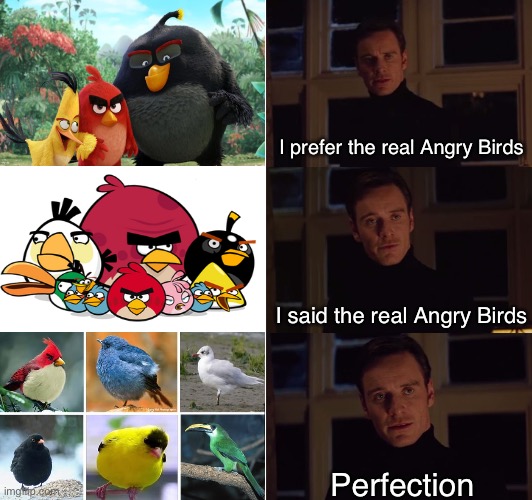 Where can I find these guys that isn’t my phone?? | I prefer the real Angry Birds; I said the real Angry Birds; Perfection | image tagged in perfection,memes,angry birds | made w/ Imgflip meme maker