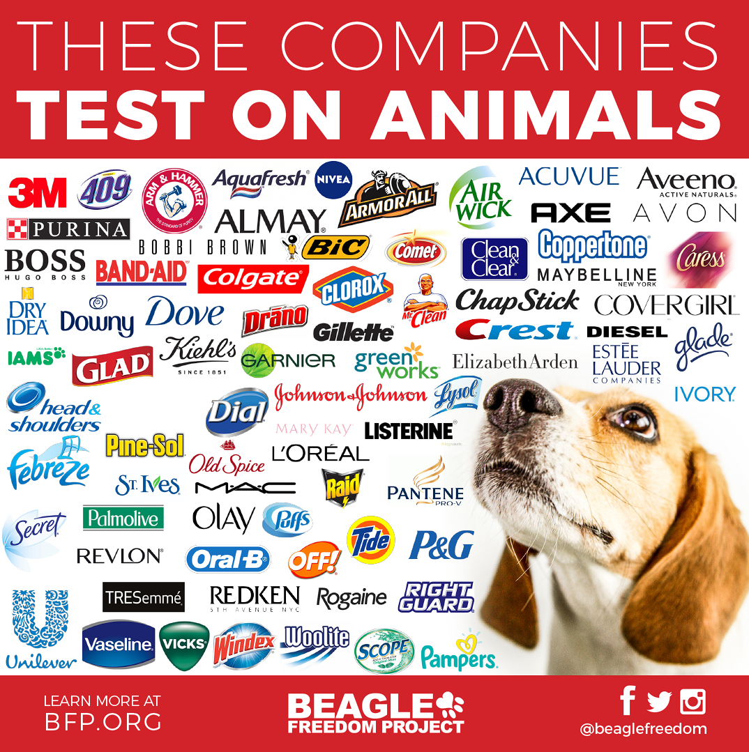 High Quality these companies test on animals Blank Meme Template