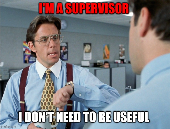 Supervisor | I'M A SUPERVISOR; I DON'T NEED TO BE USEFUL | image tagged in supervisor looking for worker,funny memes | made w/ Imgflip meme maker
