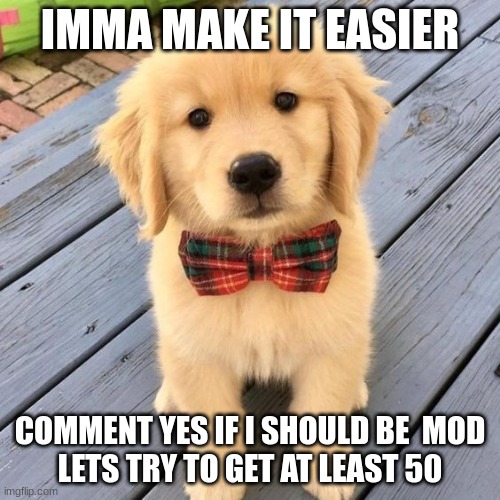 hello | IMMA MAKE IT EASIER; COMMENT YES IF I SHOULD BE  MOD
LETS TRY TO GET AT LEAST 50 | image tagged in hello | made w/ Imgflip meme maker