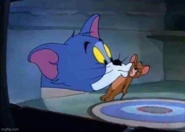 Tom & Jerry | image tagged in tom jerry | made w/ Imgflip meme maker