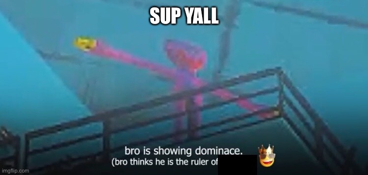 im new | SUP YALL | image tagged in wa | made w/ Imgflip meme maker