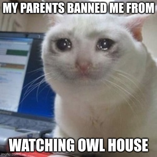 Crying cat | MY PARENTS BANNED ME FROM; WATCHING OWL HOUSE | image tagged in crying cat,the owl house,parents,banned | made w/ Imgflip meme maker