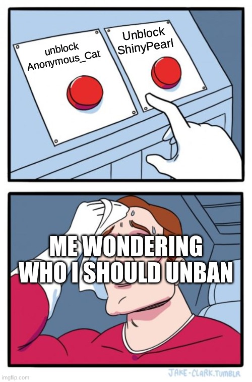 Two Buttons | Unblock ShinyPearl; unblock Anonymous_Cat; ME WONDERING WHO I SHOULD UNBAN | image tagged in memes,two buttons | made w/ Imgflip meme maker