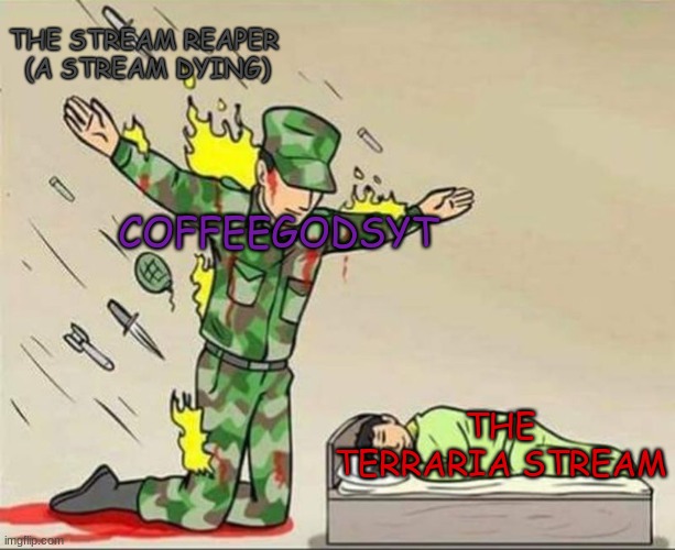 btw I used the actual terraria colors for the rarities, also | THE STREAM REAPER 
(A STREAM DYING); COFFEEGODSYT; THE TERRARIA STREAM | image tagged in soldier protect kid | made w/ Imgflip meme maker