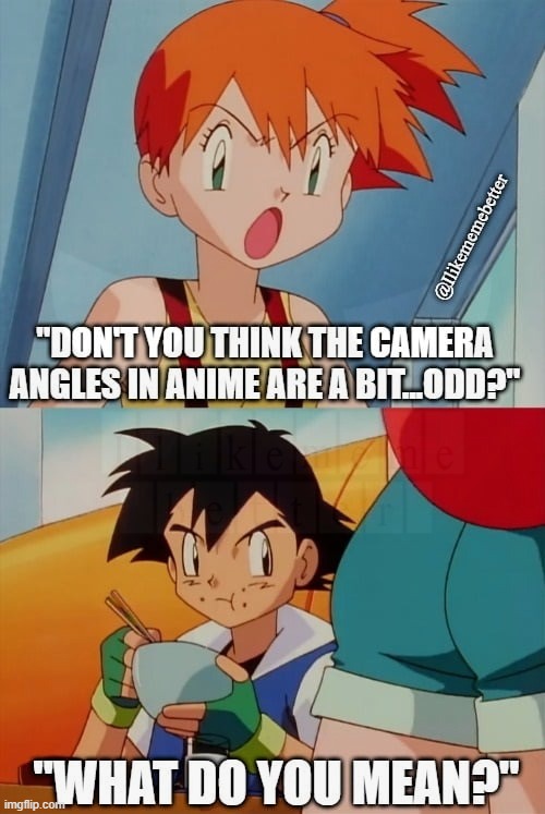 Pokemon Camera Angles | image tagged in funny memes,memes,funny,fun,anime,pokemon | made w/ Imgflip meme maker