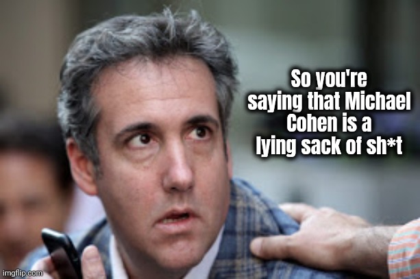 Michael Cohen looking stupid | So you're saying that Michael Cohen is a lying sack of sh*t | image tagged in michael cohen looking stupid | made w/ Imgflip meme maker