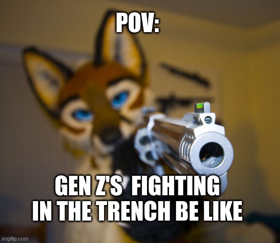 Furry Army | POV:; GEN Z'S  FIGHTING IN THE TRENCH BE LIKE | image tagged in furry with gun,army,furry | made w/ Imgflip meme maker