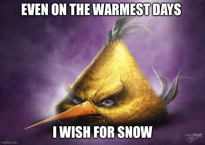 Realistic yellow angry bird | EVEN ON THE WARMEST DAYS I WISH FOR SNOW | image tagged in realistic yellow angry bird | made w/ Imgflip meme maker