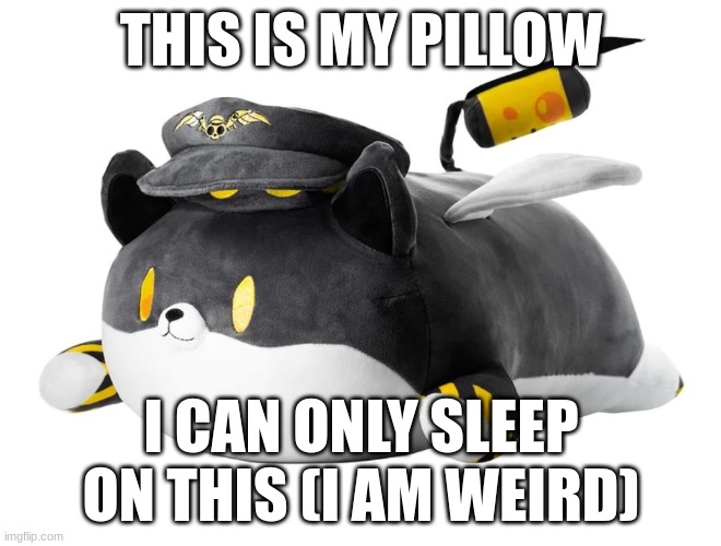dog N | THIS IS MY PILLOW; I CAN ONLY SLEEP ON THIS (I AM WEIRD) | image tagged in dog n | made w/ Imgflip meme maker