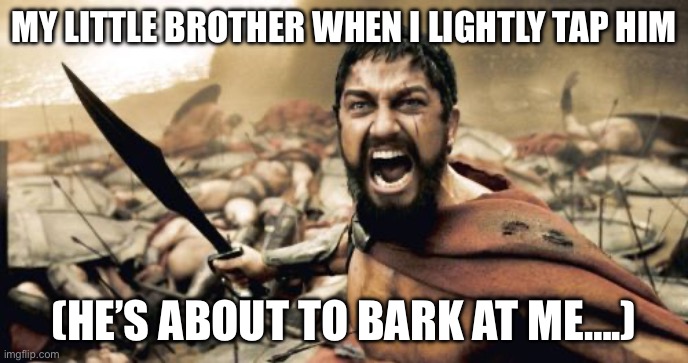 Sparta Leonidas Meme | MY LITTLE BROTHER WHEN I LIGHTLY TAP HIM; (HE’S ABOUT TO BARK AT ME….) | image tagged in memes,sparta leonidas | made w/ Imgflip meme maker