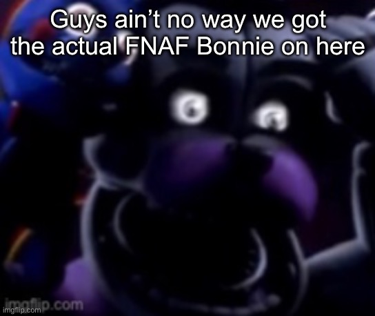 FT Freddy shocked | Guys ain’t no way we got the actual FNAF Bonnie on here | image tagged in ft freddy shocked | made w/ Imgflip meme maker