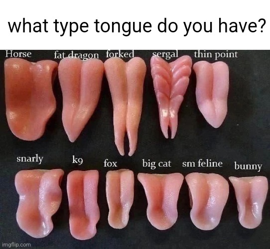 what type tongue do you have? | made w/ Imgflip meme maker