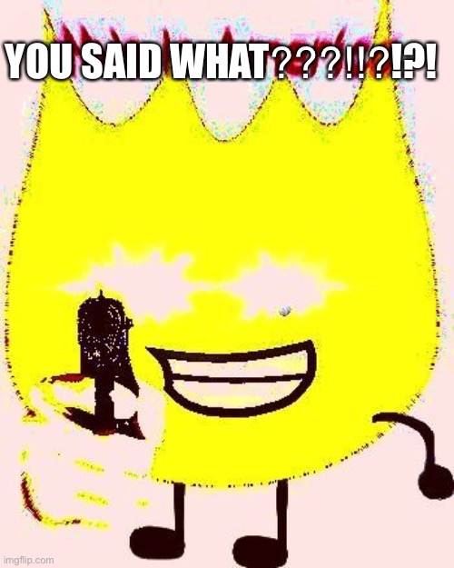 cursed firey | YOU SAID WHAT⁇⁈⁉!?! | image tagged in cursed firey | made w/ Imgflip meme maker