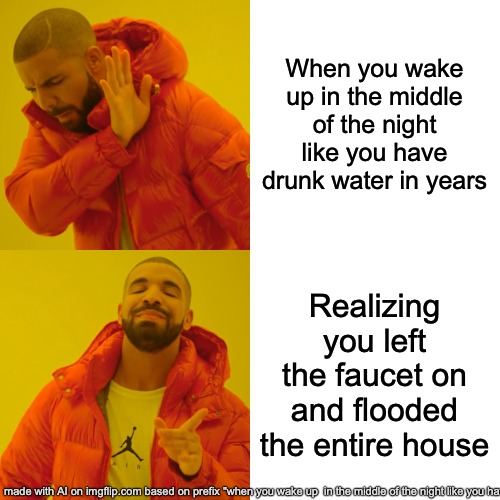 anything | When you wake up in the middle of the night like you have drunk water in years; Realizing you left the faucet on and flooded the entire house | image tagged in memes,drake hotline bling | made w/ Imgflip meme maker