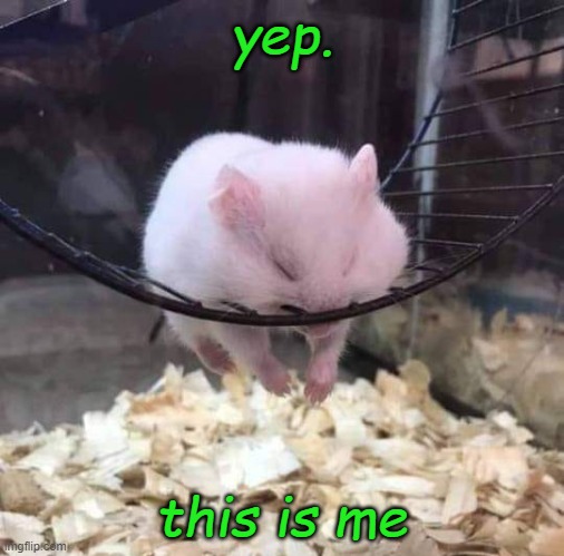 totally accurate picture | yep. this is me | image tagged in sleeping hamster on a wheel,cute,tired,hamster,rodent | made w/ Imgflip meme maker
