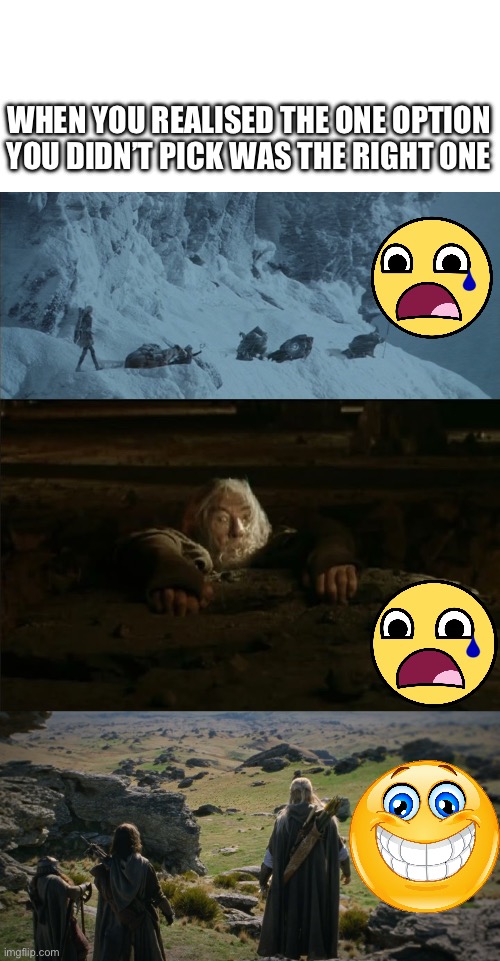 WHEN YOU REALISED THE ONE OPTION YOU DIDN’T PICK WAS THE RIGHT ONE | image tagged in lotr caradhras,gandalf falling,gap of rohan | made w/ Imgflip meme maker