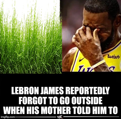 What an idiot | LEBRON JAMES REPORTEDLY FORGOT TO GO OUTSIDE WHEN HIS MOTHER TOLD HIM TO | made w/ Imgflip meme maker