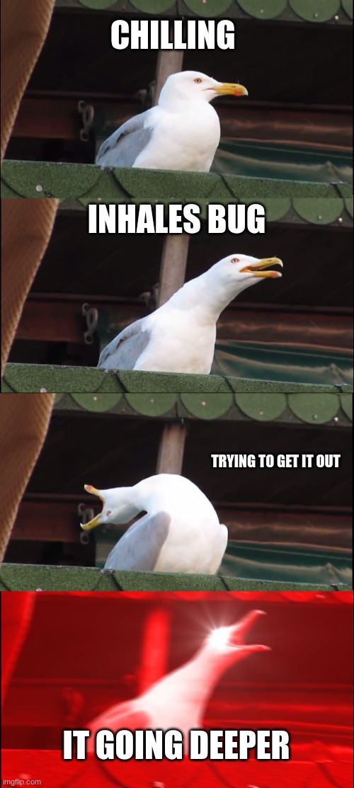 Inhaling Seagull Meme | CHILLING; INHALES BUG; TRYING TO GET IT OUT; IT GOING DEEPER | image tagged in memes,inhaling seagull | made w/ Imgflip meme maker