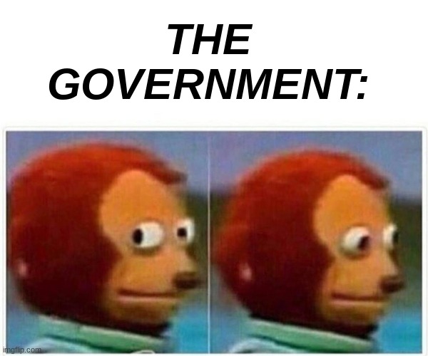 Monkey Puppet Meme | THE GOVERNMENT: | image tagged in memes,monkey puppet | made w/ Imgflip meme maker