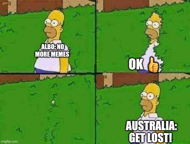 HOMER BUSH | ALBO: NO MORE MEMES; OK 👍; AUSTRALIA: GET LOST! | image tagged in homer bush | made w/ Imgflip meme maker