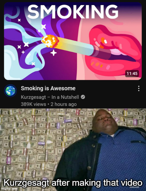 Kurzgesagt after making that video | image tagged in huell money | made w/ Imgflip meme maker
