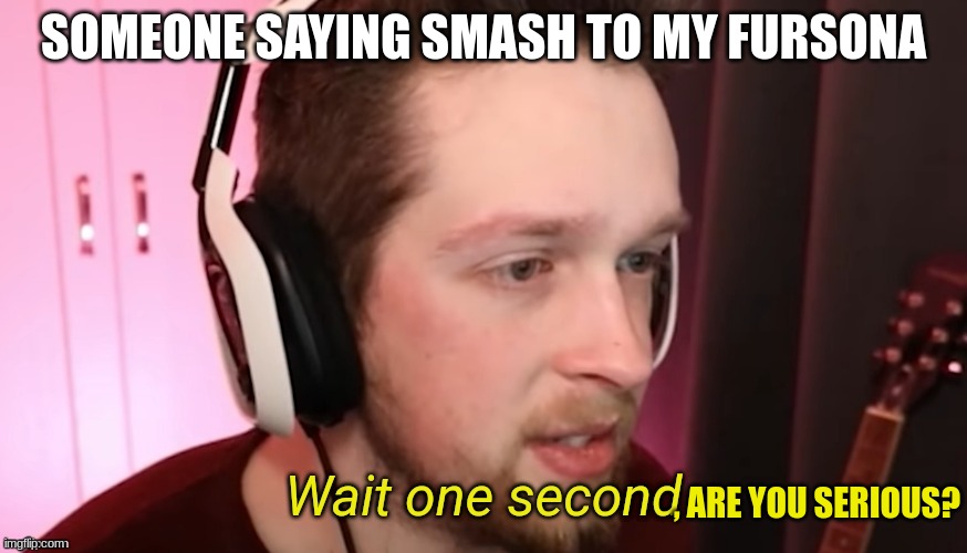 CallMeKevin Wait One Second | SOMEONE SAYING SMASH TO MY FURSONA; , ARE YOU SERIOUS? | image tagged in callmekevin wait one second | made w/ Imgflip meme maker