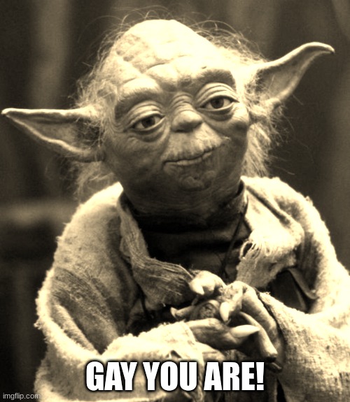 Star Wars Yoda | GAY YOU ARE! | image tagged in memes,star wars yoda | made w/ Imgflip meme maker