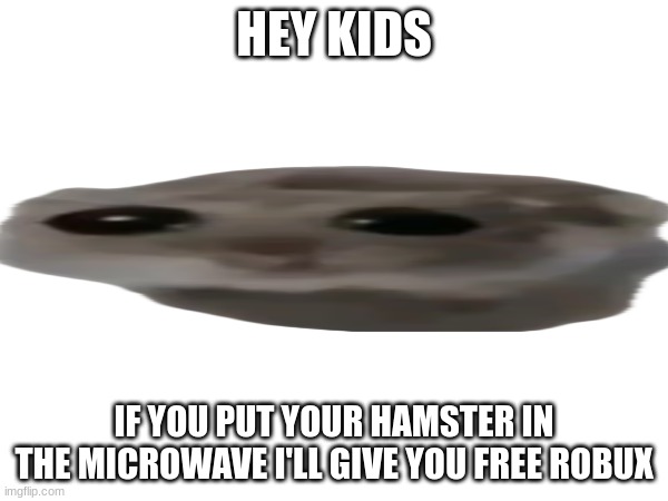 HEY KIDS; IF YOU PUT YOUR HAMSTER IN THE MICROWAVE I'LL GIVE YOU FREE ROBUX | made w/ Imgflip meme maker