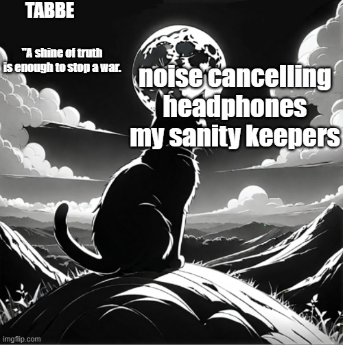 theology class is making me insane | noise cancelling headphones my sanity keepers | image tagged in tabbe moon cat temp thing | made w/ Imgflip meme maker