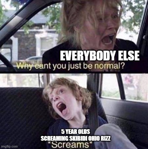 Why Can't You Just Be Normal | EVERYBODY ELSE; 5 YEAR OLDS SCREAMING SKIBIDI OHIO RIZZ | image tagged in why can't you just be normal | made w/ Imgflip meme maker
