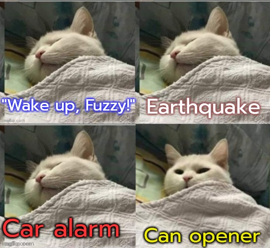 What really matters. | Earthquake; "Wake up, Fuzzy!"; Car alarm; Can opener | image tagged in cat sleeping uder blanket blank,the great awakening,food,pet humor,noise,priorities | made w/ Imgflip meme maker