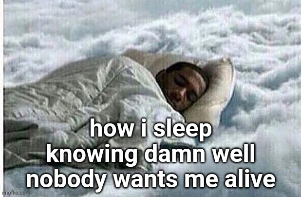 How I Sleep | how i sleep knowing damn well nobody wants me alive | image tagged in how i sleep | made w/ Imgflip meme maker