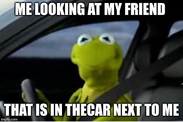 Kermit the frog | ME LOOKING AT MY FRIEND; THAT IS IN THECAR NEXT TO ME | image tagged in kermit the frog,kermit,hehehe | made w/ Imgflip meme maker