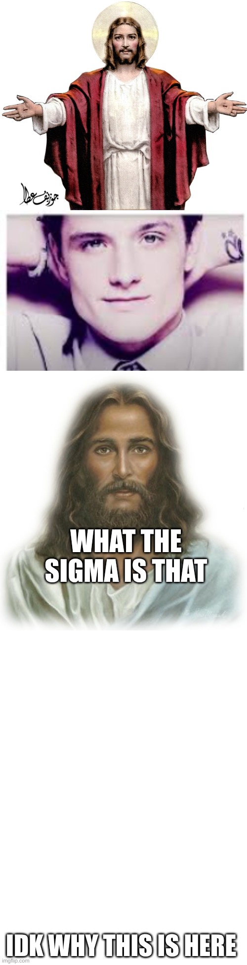 WHAT THE SIGMA | WHAT THE SIGMA IS THAT; IDK WHY THIS IS HERE | image tagged in long blank white | made w/ Imgflip meme maker