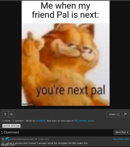 made w/ Imgflip meme maker