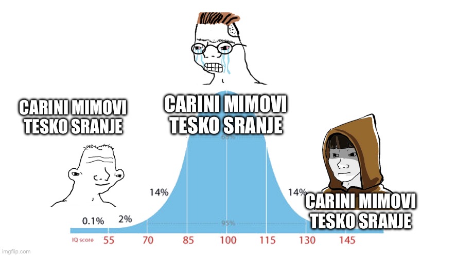 Midwit memes | CARINI MIMOVI TESKO SRANJE; CARINI MIMOVI TESKO SRANJE; CARINI MIMOVI TESKO SRANJE | image tagged in midwit memes | made w/ Imgflip meme maker