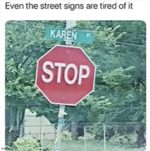 This will probably be disapproved because the signmaker did his job perfectly | image tagged in stop,stop sign,karens,karen,funny signs,signs | made w/ Imgflip meme maker