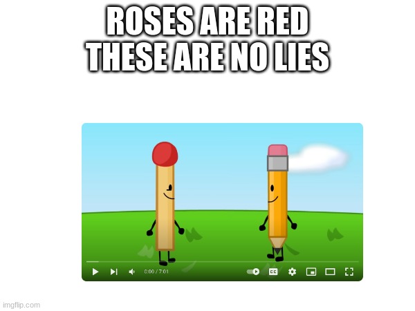 ROSES ARE RED
THESE ARE NO LIES | made w/ Imgflip meme maker