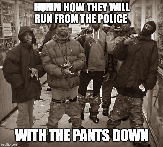 All My Homies Hate | HUMM HOW THEY WILL RUN FROM THE POLICE; WITH THE PANTS DOWN | image tagged in all my homies hate,funny,funny meme,lol so funny,lol | made w/ Imgflip meme maker